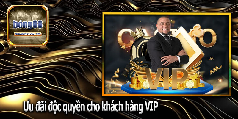 Ưu đãi độc quyền cho khách hàng VIP