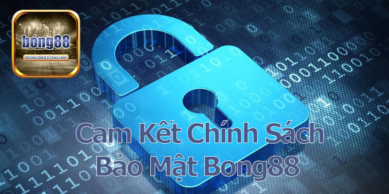 Cam Kết Chính Sách Bảo Mật Bong88