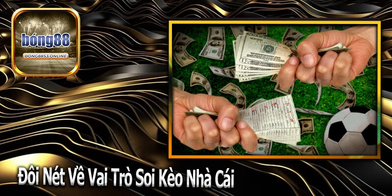 Khái niệm và vai trò của soi kèo nhà cái